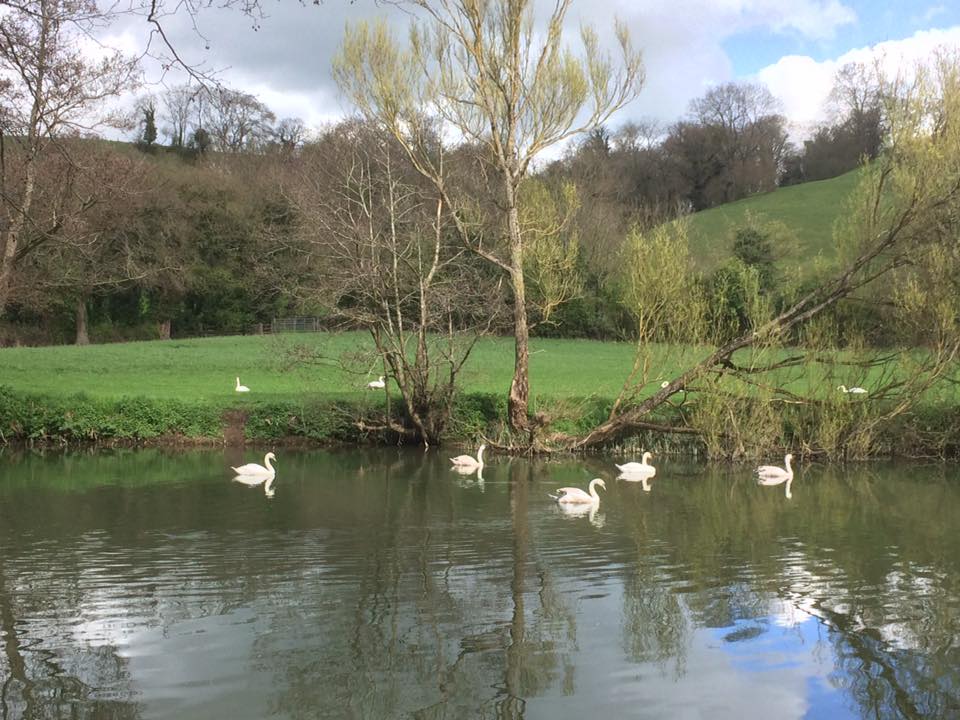 17424868_280625739042708_2027491749513899331_n