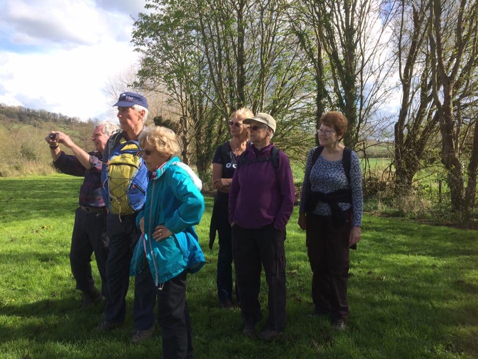 17626681_280625809042701_8390471957999662239_n