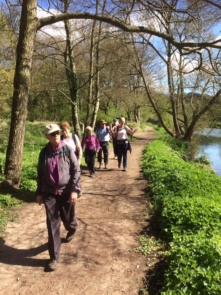 17629803_280625929042689_891000058553094328_n