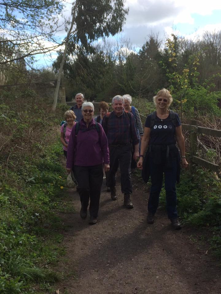 17630054_280625752376040_730833354954132539_n