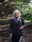 Pauline Yew Tree&nbsp;walk