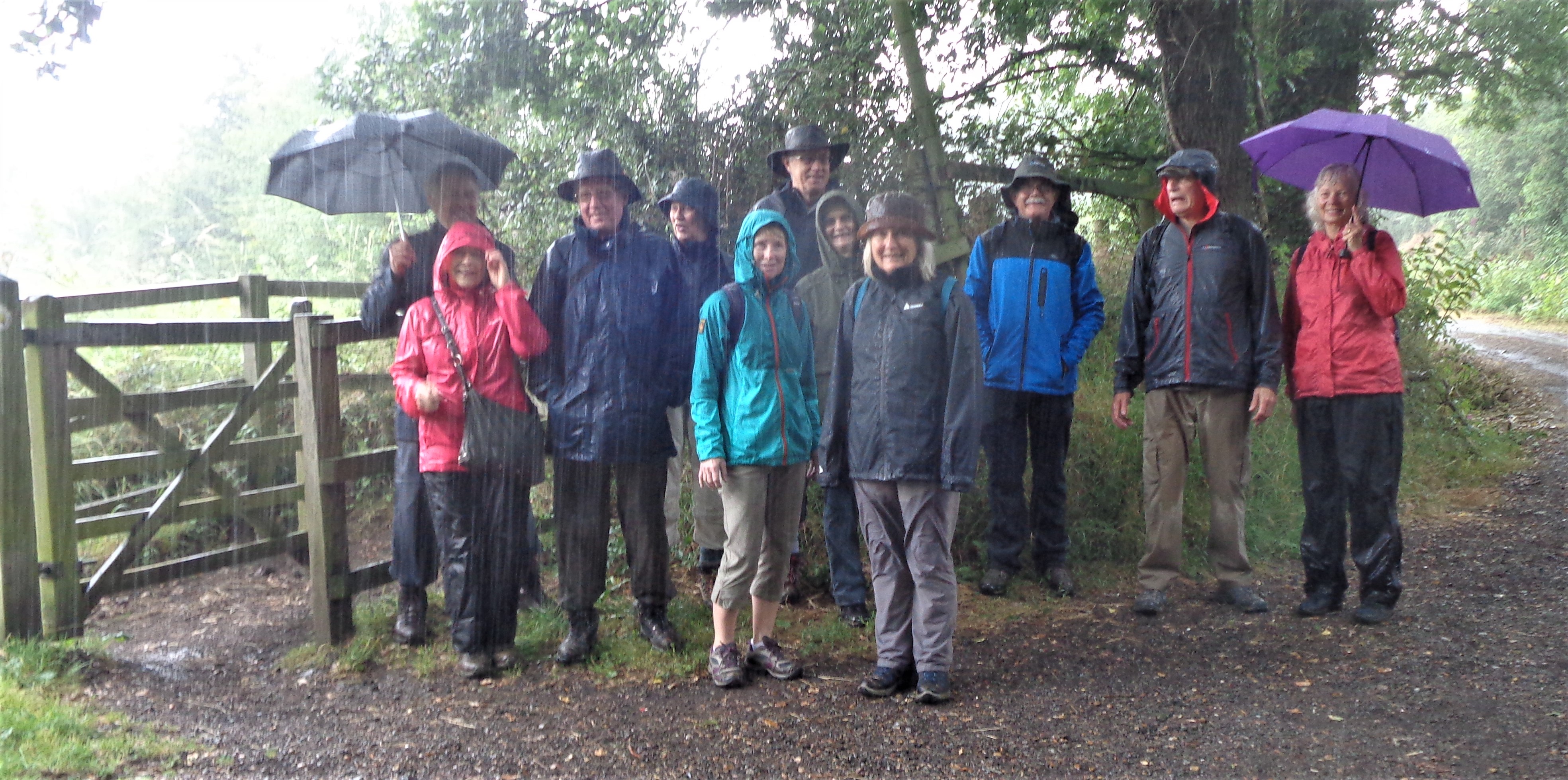 2. Are we having fun yet....