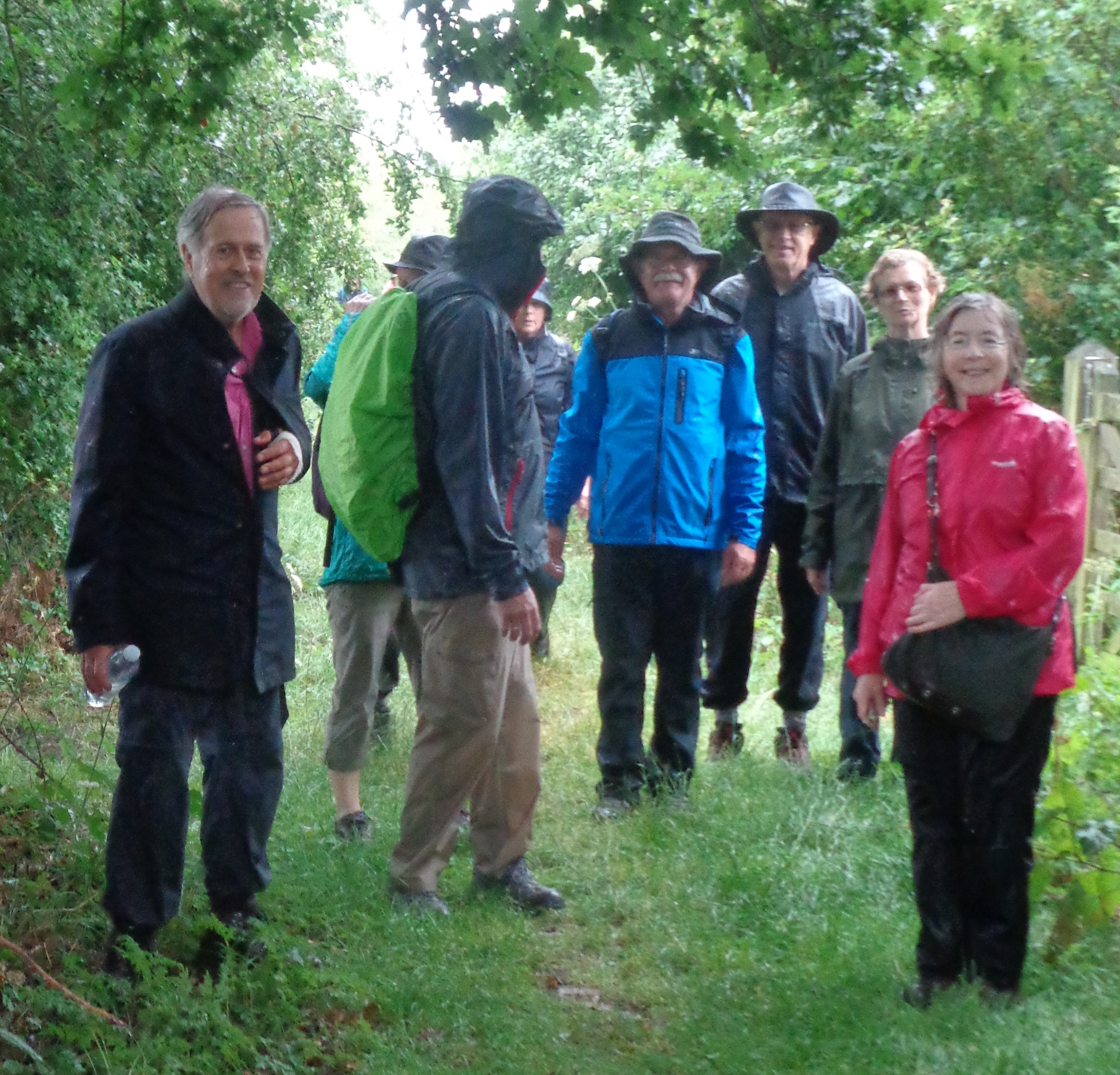4. Nothing can really show just how bedraggled this lot were