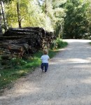 71089846_10220251154414193_9213504340902281216_n