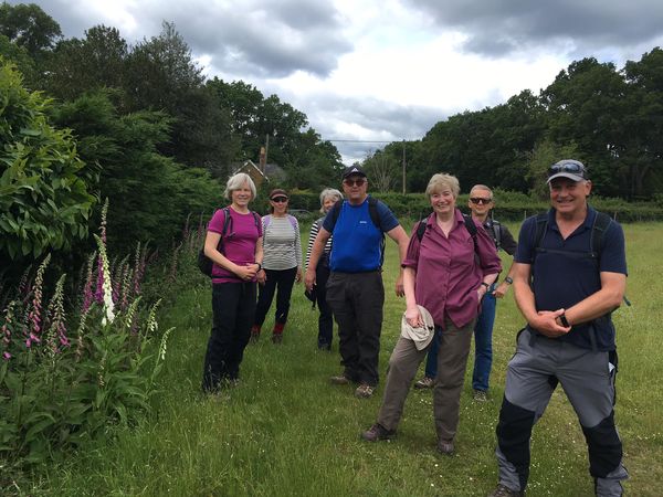 Silchester and Pamber Heath 1 29 May 2022