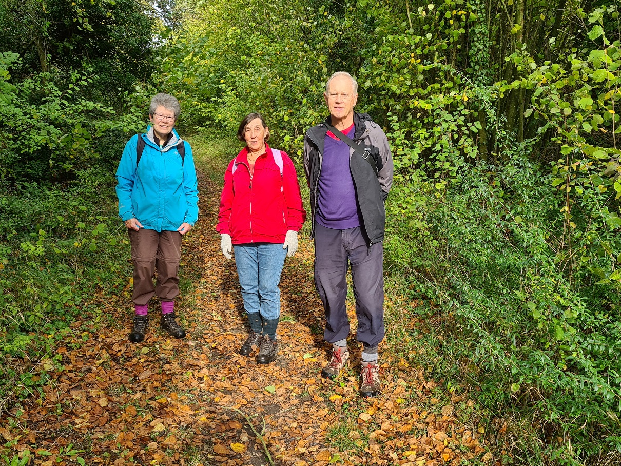 Overton Walk 2 Nov 22