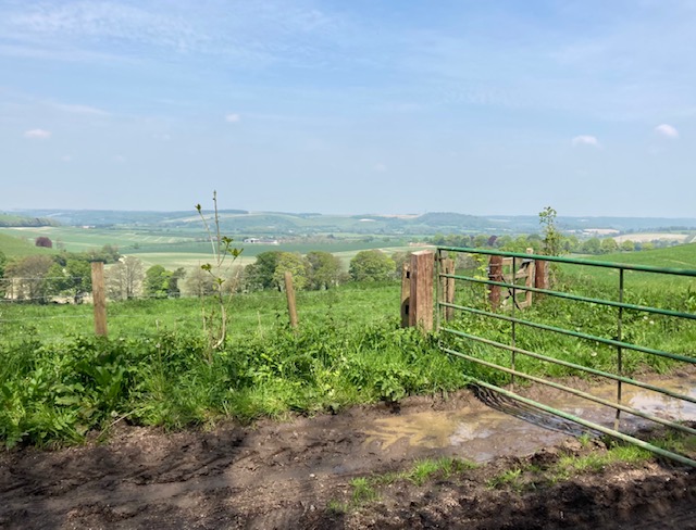 East Meon 11 May 24 2