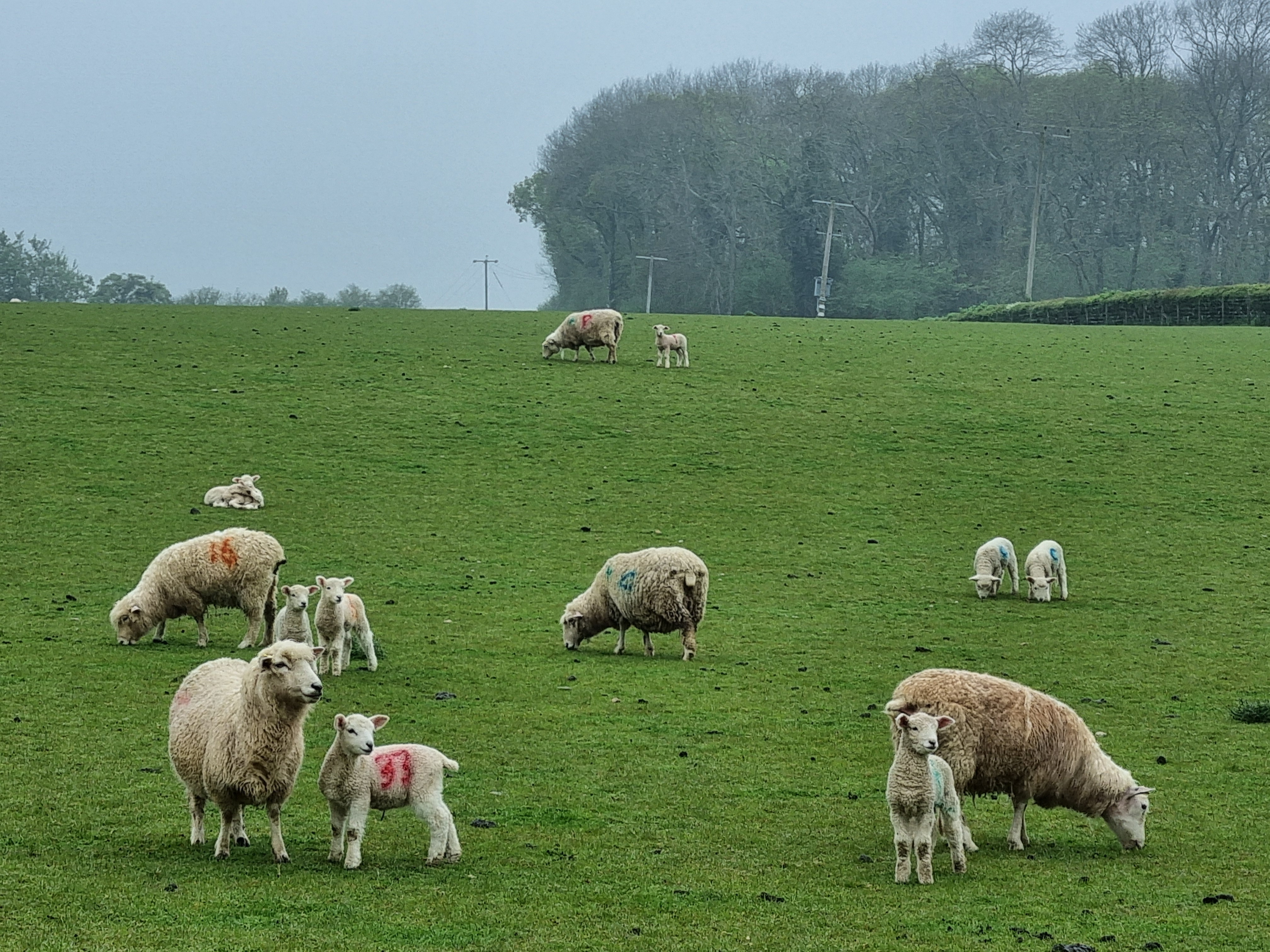 May 2 2024 Crondall 2