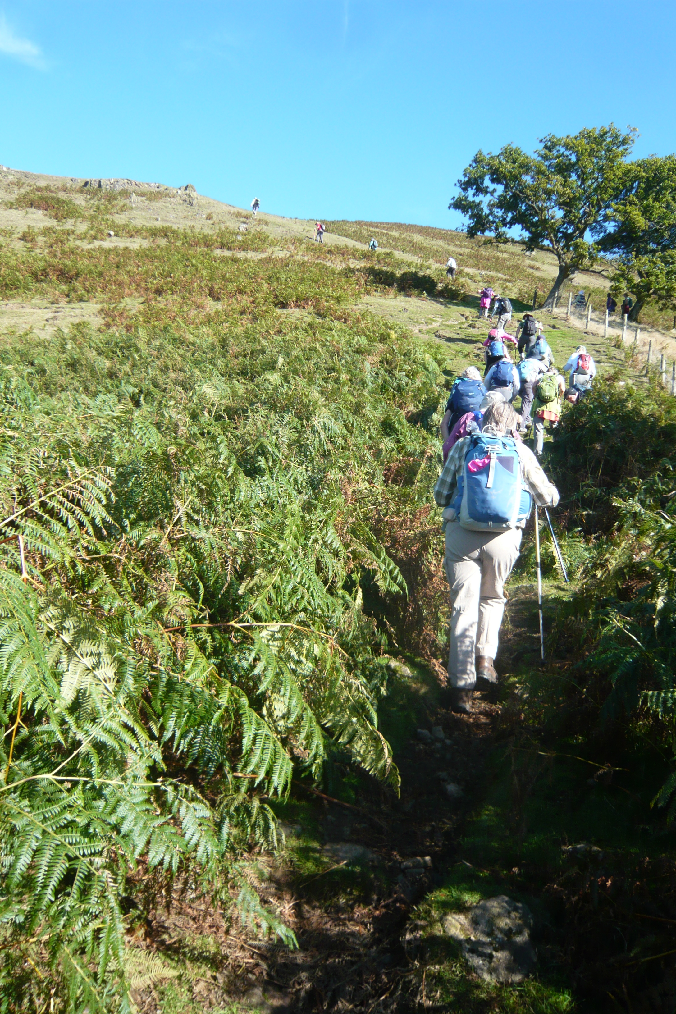 Church Stretton, Shropshire Sept 2024 6