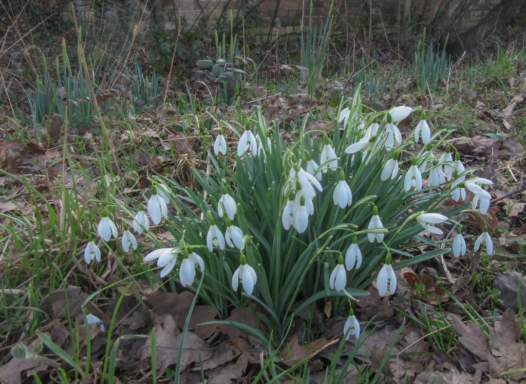 Dave Thomas 12th Feb 2025