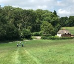 Cliddesden Through fields to Farleigh Wallop 11 June&nbsp;2025